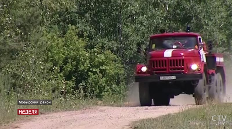 Против огня и людской беспечности. Во многих районах Беларуси из-за жары введен запрет на посещение лесов-10