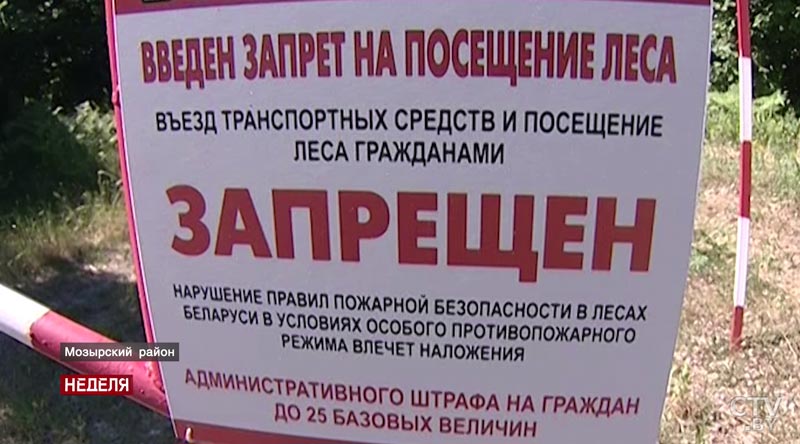 Против огня и людской беспечности. Во многих районах Беларуси из-за жары введен запрет на посещение лесов-21