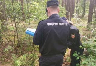 В лесу на 15-летнюю девочку упало спиленное дерево. Подросток погиб