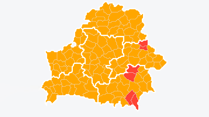 Во всех районах Беларуси нельзя свободно посещать лес