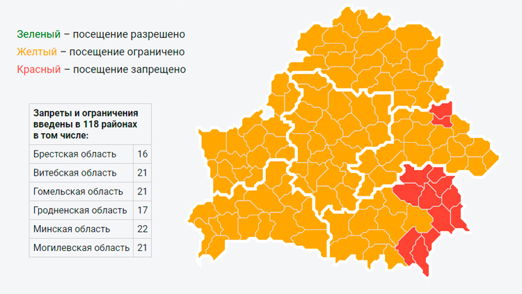 По всей Беларуси продолжают действовать запреты и ограничения на посещение лесов-1