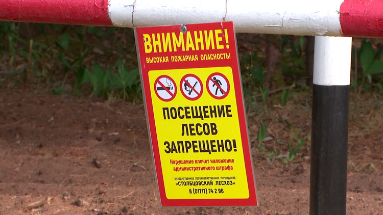 В лесах Минской области сохраняется пожарная опасность