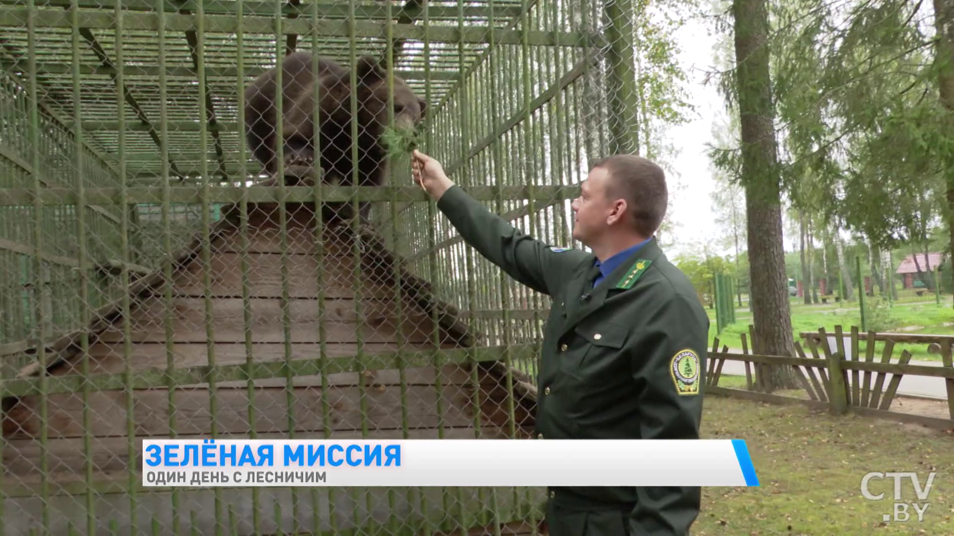 «Недавно человек встретился с тремя медвежатами». Один день с лесничим Березинского заповедника -1