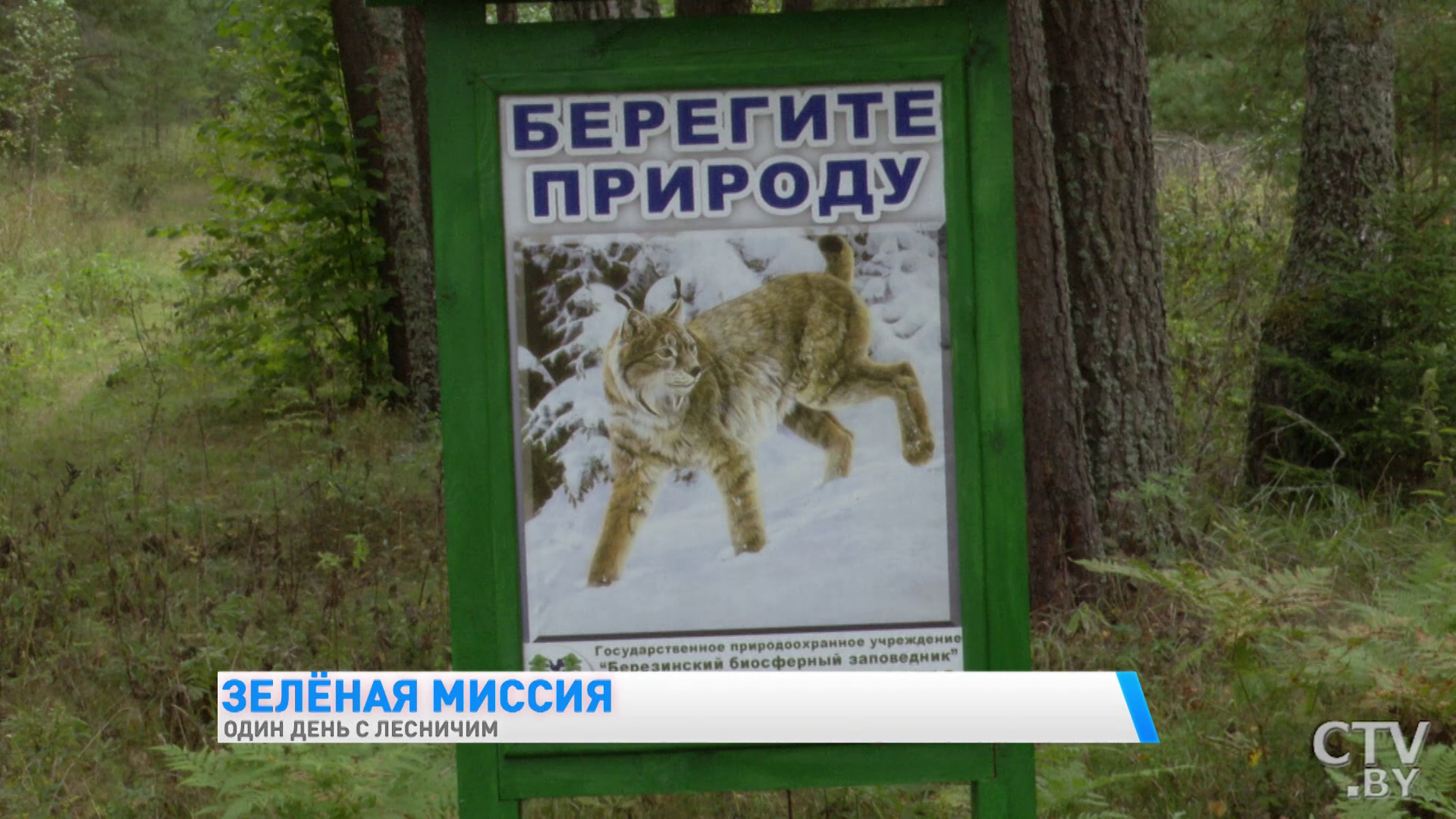 «Недавно человек встретился с тремя медвежатами». Один день с лесничим Березинского заповедника -16