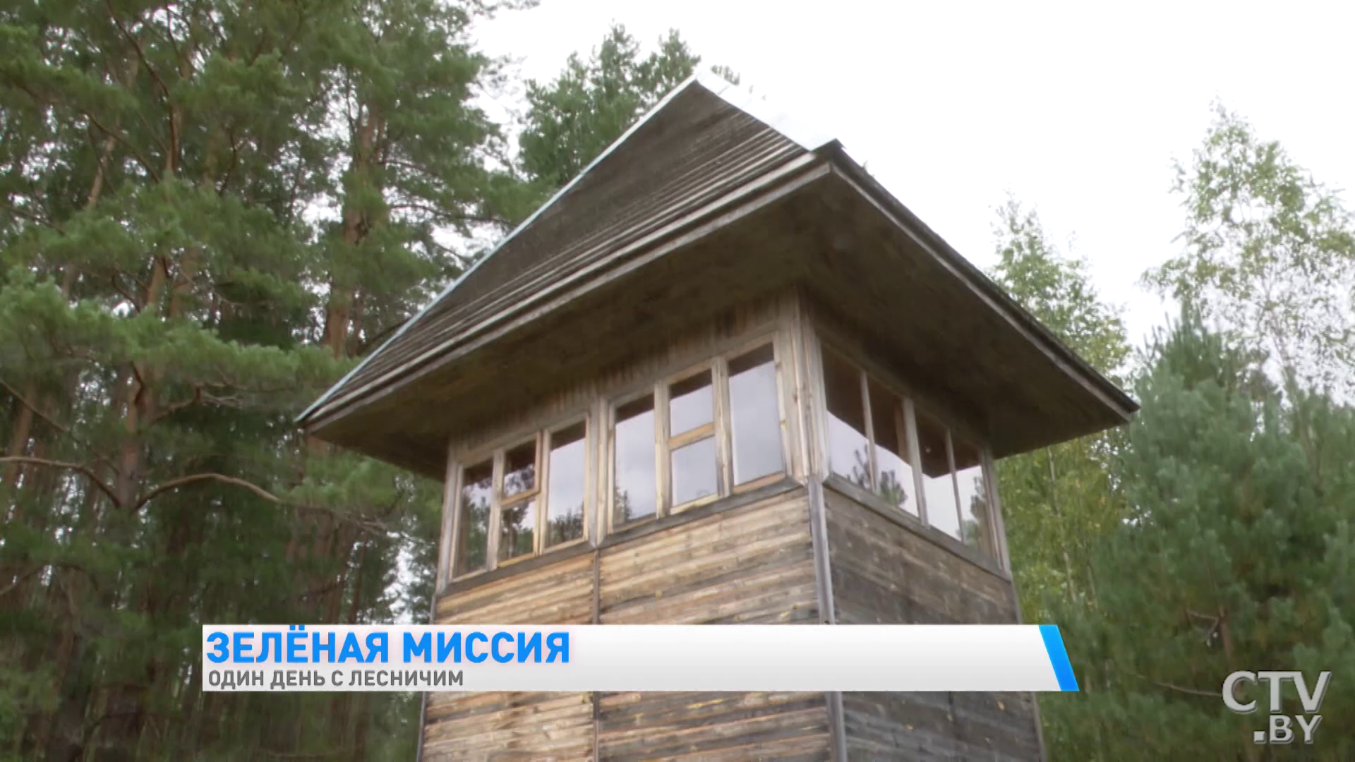 «Недавно человек встретился с тремя медвежатами». Один день с лесничим Березинского заповедника -31