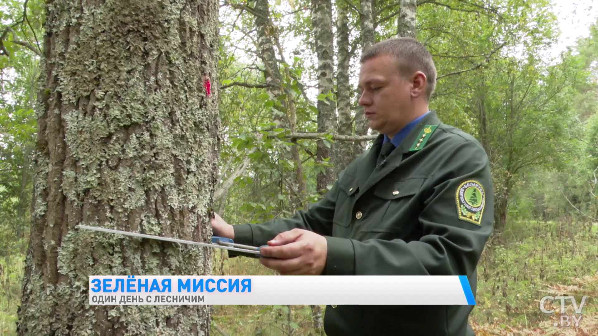 «Недавно человек встретился с тремя медвежатами». Один день с лесничим Березинского заповедника -7