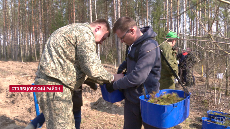 «Столбцовщина – это земля особая, это земля Якуба Коласа». «Неделя леса» началась в Беларуси-30