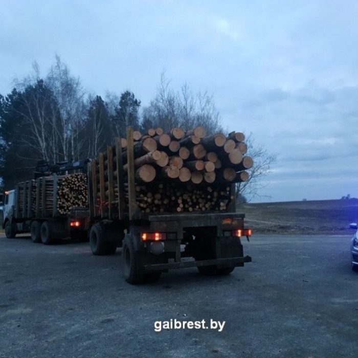 Под Брестом был остановлен лесовоз, который перевозил брёвна с нарушением-4