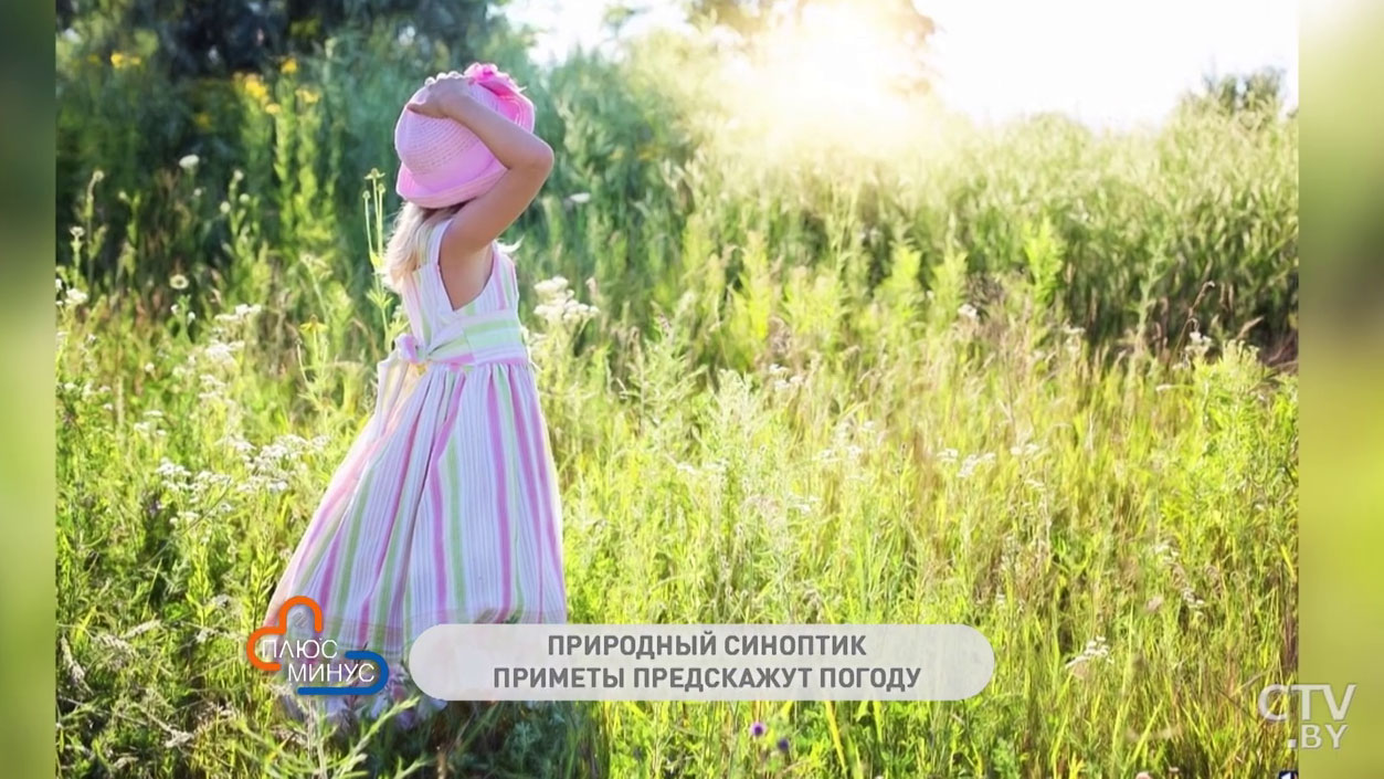 Природный синоптик. Эти летние приметы расскажут о погоде на ближайшие дни-4