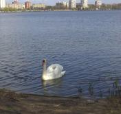 В Беларуси похолодает. Какой будет погода на выходных