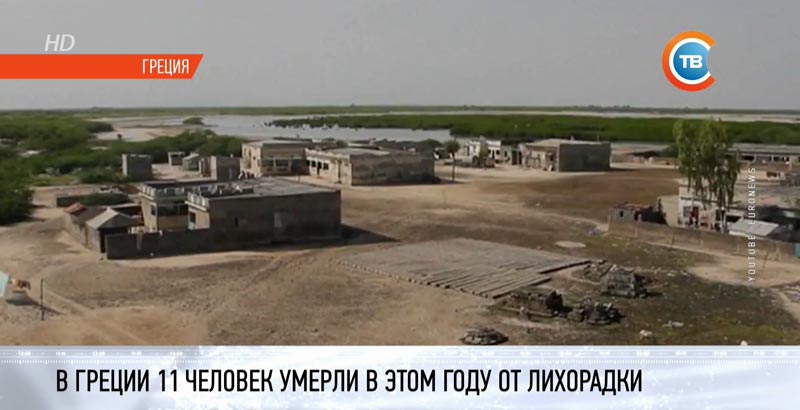  Более 10 человек в Греции скончались от лихорадки Западного Нила-8