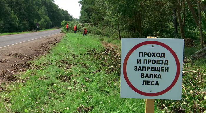 В Беларуси продолжают устранять последствия непогоды – больше всего пострадала Гомельская область