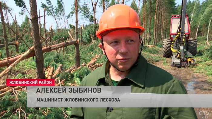 В Беларуси продолжают устранять последствия непогоды – больше всего пострадала Гомельская область-10