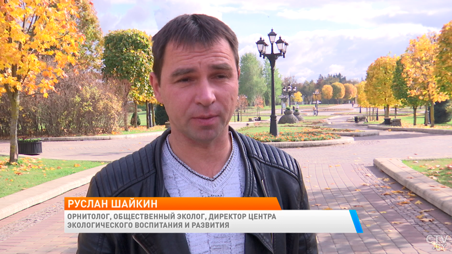Некоторым растениям нужно укрытие. Как использовать опавшую листву с пользой?-10 Некоторым растениям нужно укрытие. Как использовать опавшую листву с пользой?-10