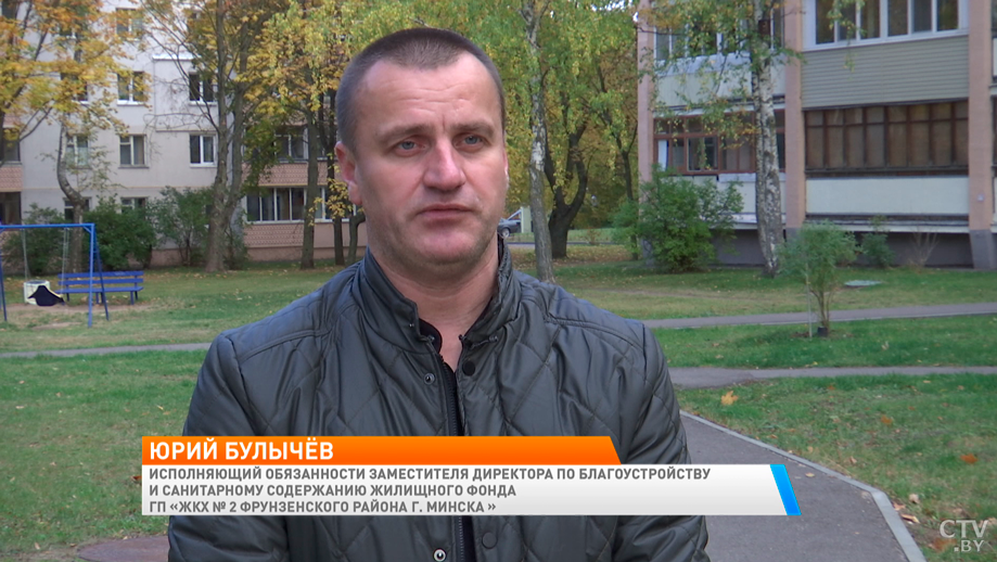 Некоторым растениям нужно укрытие. Как использовать опавшую листву с пользой?-13 Некоторым растениям нужно укрытие. Как использовать опавшую листву с пользой?-13