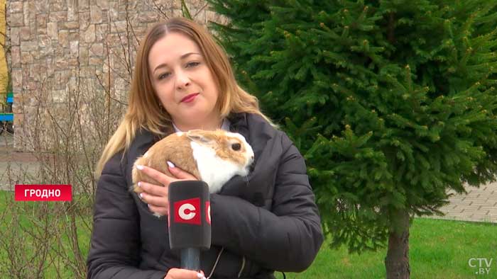Зверьки плачут, скучают без мамы. В Гродненский зоопарк люди принесли брошенных лисят-19