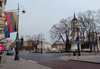 Литовские предприятия выводят бизнес за границу из-за напряжённых отношений с Китаем