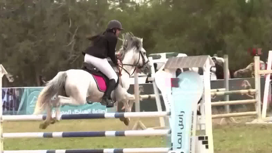Ливийский конный клуб возобновил свои чемпионаты после 13-летнего перерыва