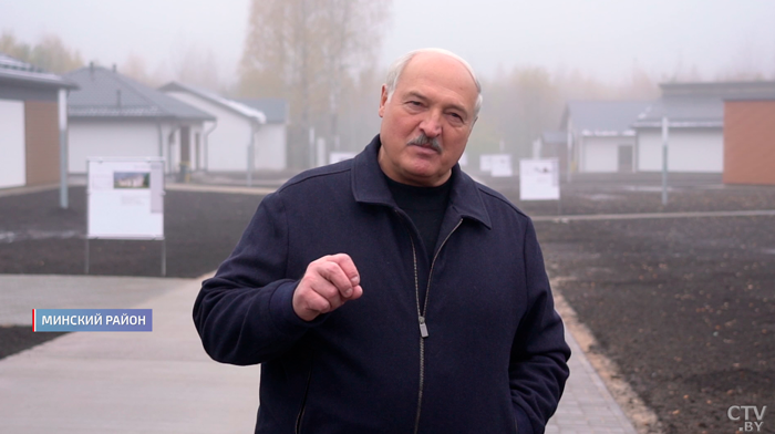 «Это супер-суперэлита» – Лукашенко рассказал, как лучше использовать «президентский» картофель-1