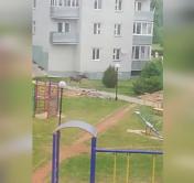 На детской площадке в Нарочи гулял лось