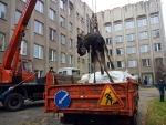 Фотофакт: в Гродно спасли лося, провалившегося в яму у Института биохимии