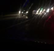 Лось стал причиной тройного ДТП под Молодечно