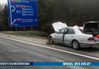 В Смолевичском районе легковушка сбила лося. От удара животное отбросило на крышу машины