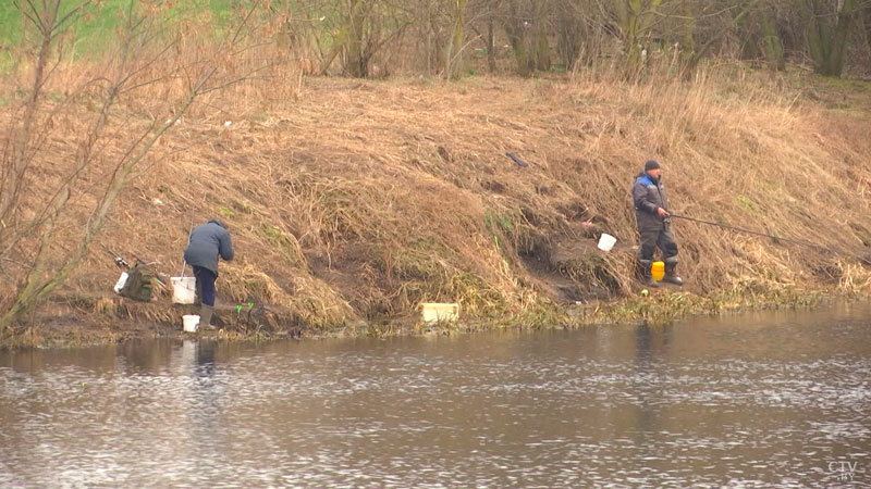 В Беларуси вводится нерестовый запрет на ловлю рыбы-1