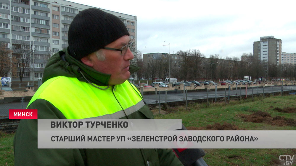 «Лучше, чем просидеть в общежитии за телефоном». В Минске волонтёры высадили около 100 елей-4