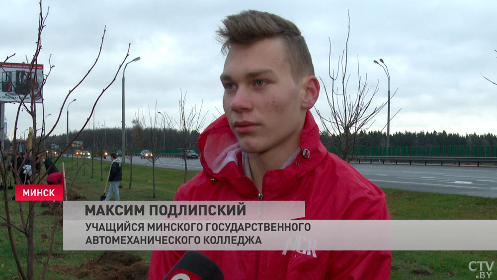 «Лучше, чем просидеть в общежитии за телефоном». В Минске волонтёры высадили около 100 елей-7