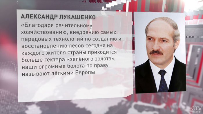 Лукашенко поздравил работников и ветеранов лесного хозяйства и деревообрабатывающей промышленности-1