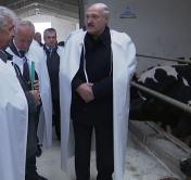 Президент Беларуси: из молока и мяса надо делать такую конфетку, которую у вас будут рвать с руками и ногами