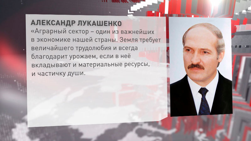 Лукашенко: «Гомельские аграрии достойно провели уборочную» Лукашенко: «Гомельские аграрии достойно провели уборочную»