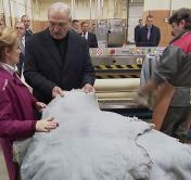 Александр Лукашенко во время посещения Витебского мехового комбината поручил развивать овцеводство в стране 
