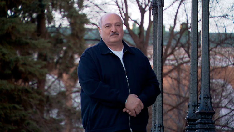 Лукашенко заявил, что не видит необходимости в создании санитарной зоны на границе с Украиной