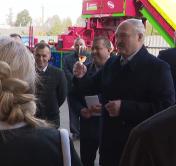 Александр Лукашенко продегустировал белорусское вино в Толочине