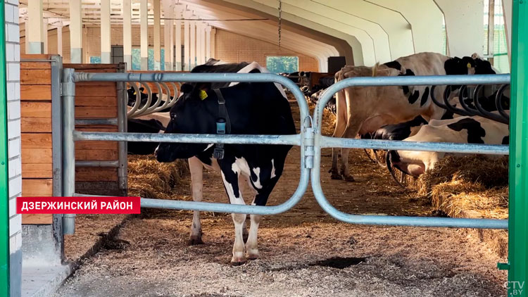 Лукашенко посещает Дзержинский район с рабочей поездкой-4 Лукашенко посещает Дзержинский район с рабочей поездкой-4