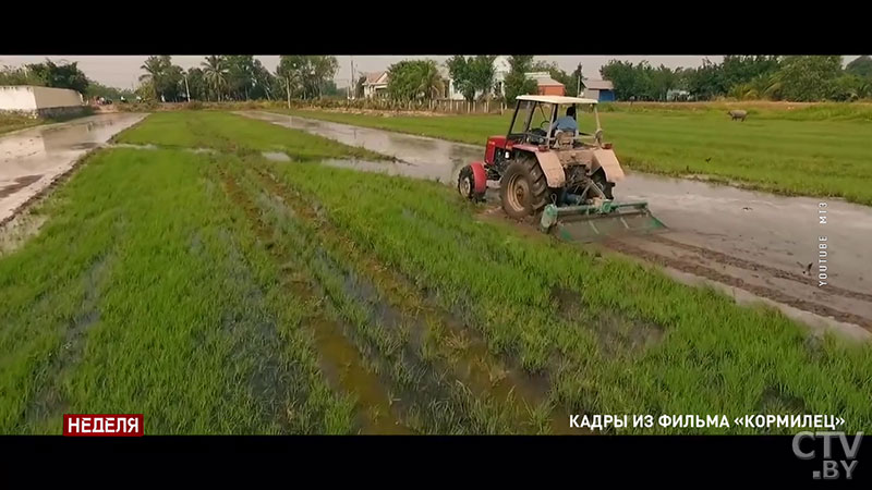 За что ценят «Беларуса»? В чём секрет успеха легендарного МТЗ и какую оценку его работе дал Президент-25