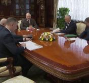 Александр Лукашенко: «Мы не должны по-варварски относиться к лесным ресурсам, к лесу, природе»