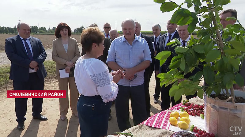 К уборочной должен быть комплексный подход: Александр Лукашенко совершает рабочую поездку в Смолевичский район-1