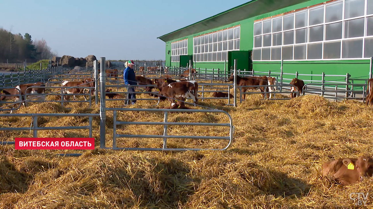 Лукашенко: картошку продал тихонько и сижу, курю. А молоком, мясом кто будет заниматься?-7