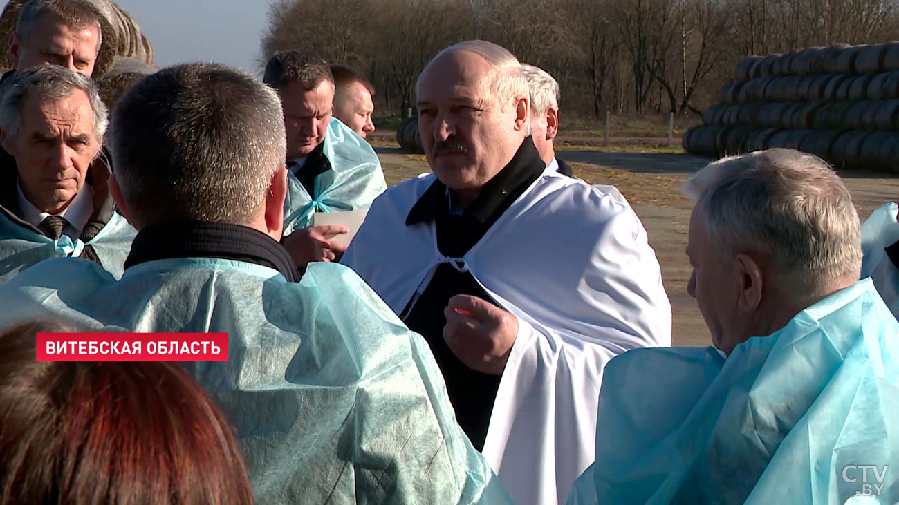 Лукашенко: картошку продал тихонько и сижу, курю. А молоком, мясом кто будет заниматься?-4