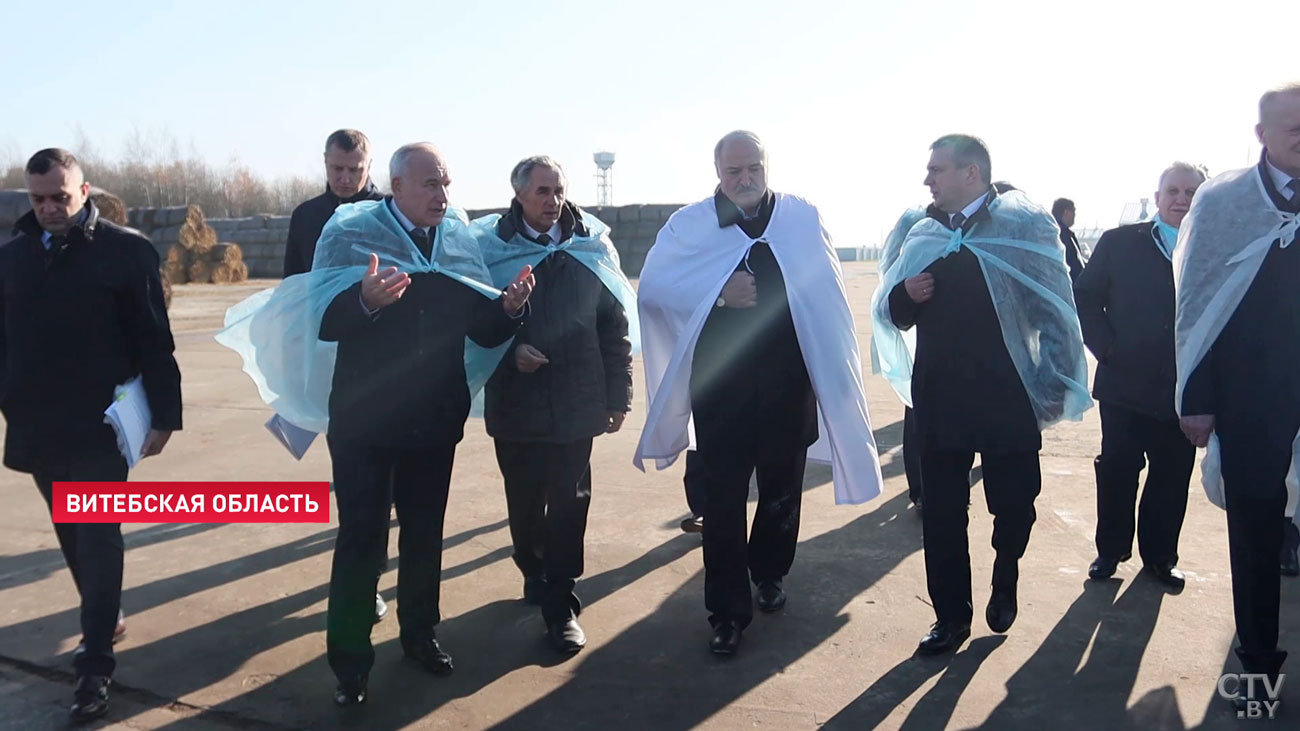 Лукашенко: картошку продал тихонько и сижу, курю. А молоком, мясом кто будет заниматься?-1