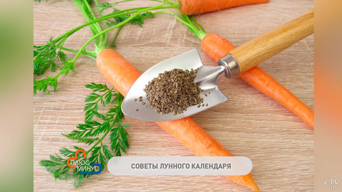 Лунный календарь дачника. Какие работы проводить в мае?-1