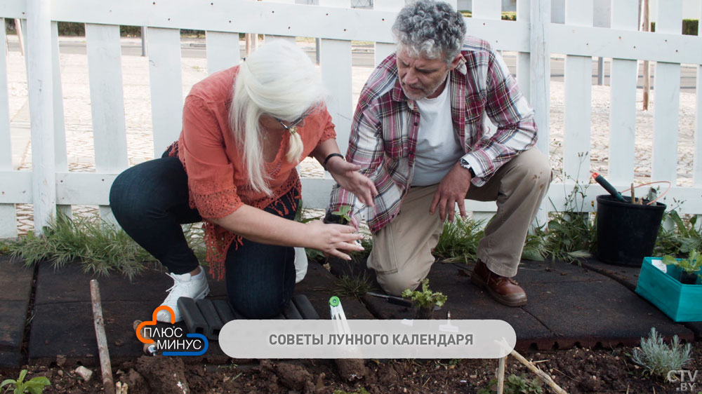 Назван день, когда лучше всего работать в огороде. Лунный календарь дачника на первую неделю мая-1