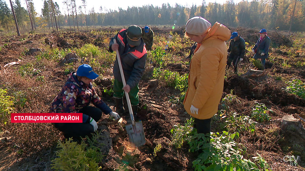 «Любим безмерно свою страну». Участники автопробега рассказали, зачем поехали в Столбцовский район-1