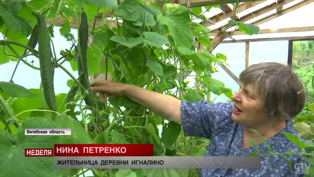 «Я не завидую городской жизни». Как живётся белорусам на границе с Россией?-13
