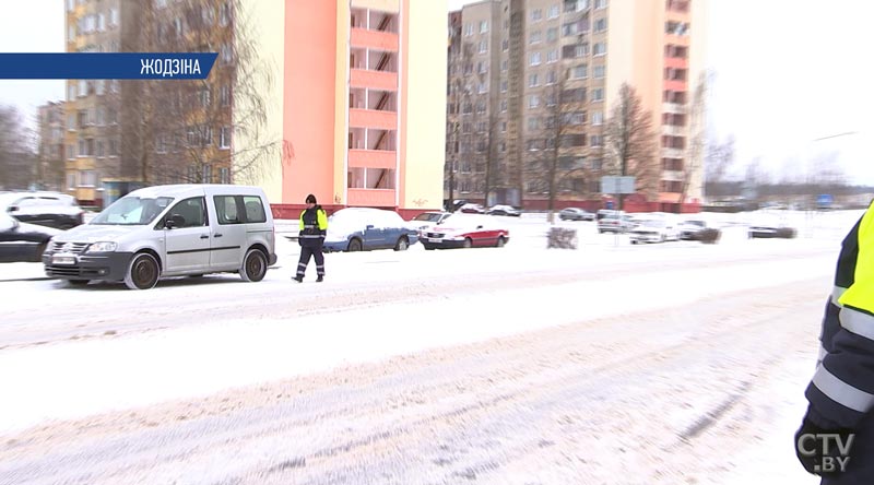 Такси для диких животных: у «Фауны города» появился автомобиль для перевозки диких зверей-1