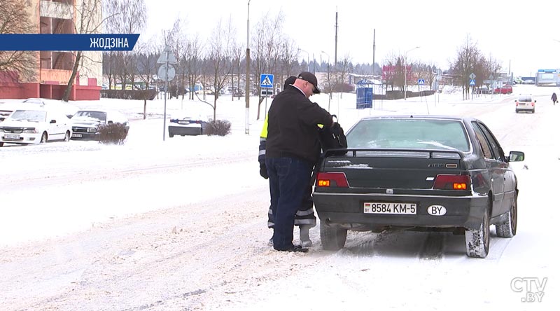 Такси для диких животных: у «Фауны города» появился автомобиль для перевозки диких зверей-3