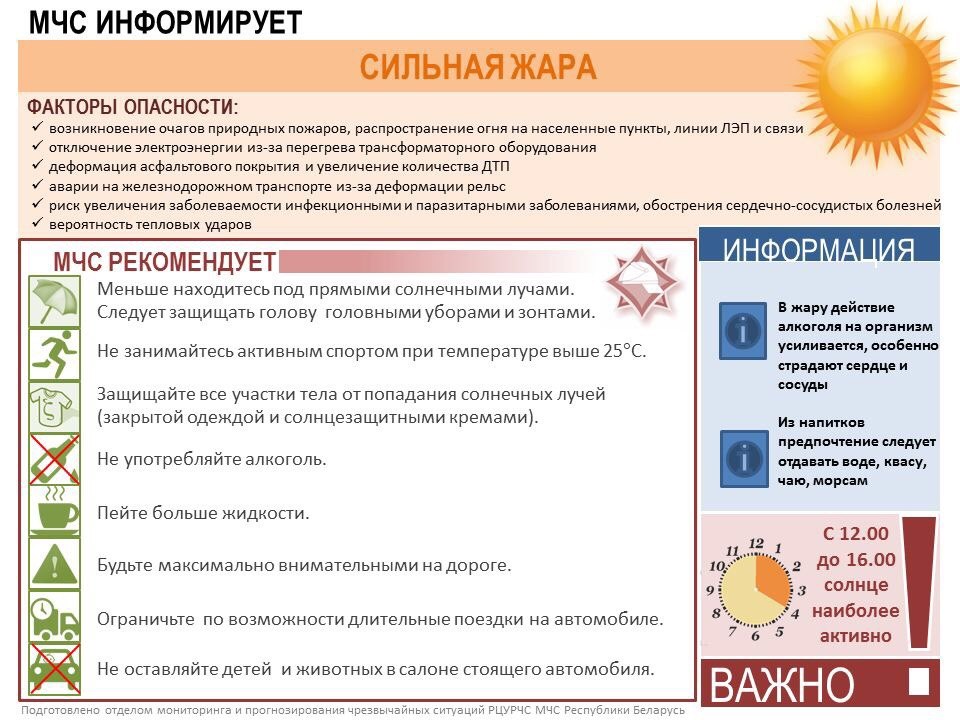 В Беларуси ожидается до +30°С: правила безопасности при сильной жаре-1